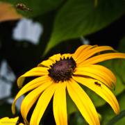 Mal wieder im Garten :)