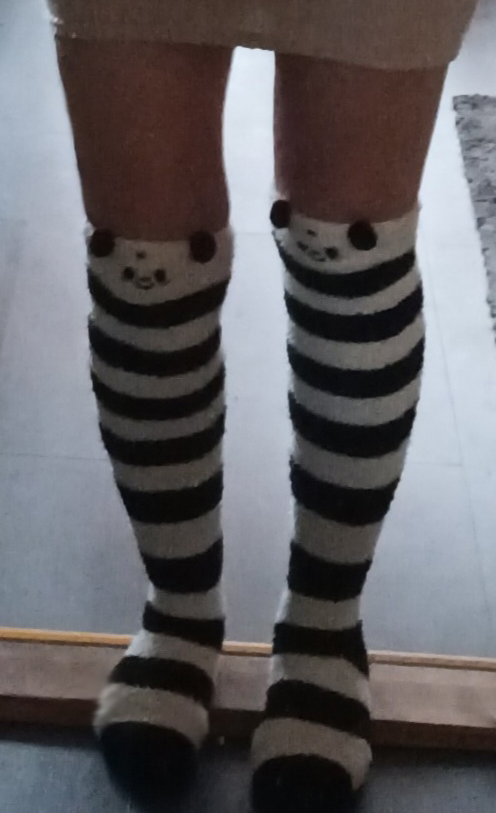 Panda.jpg