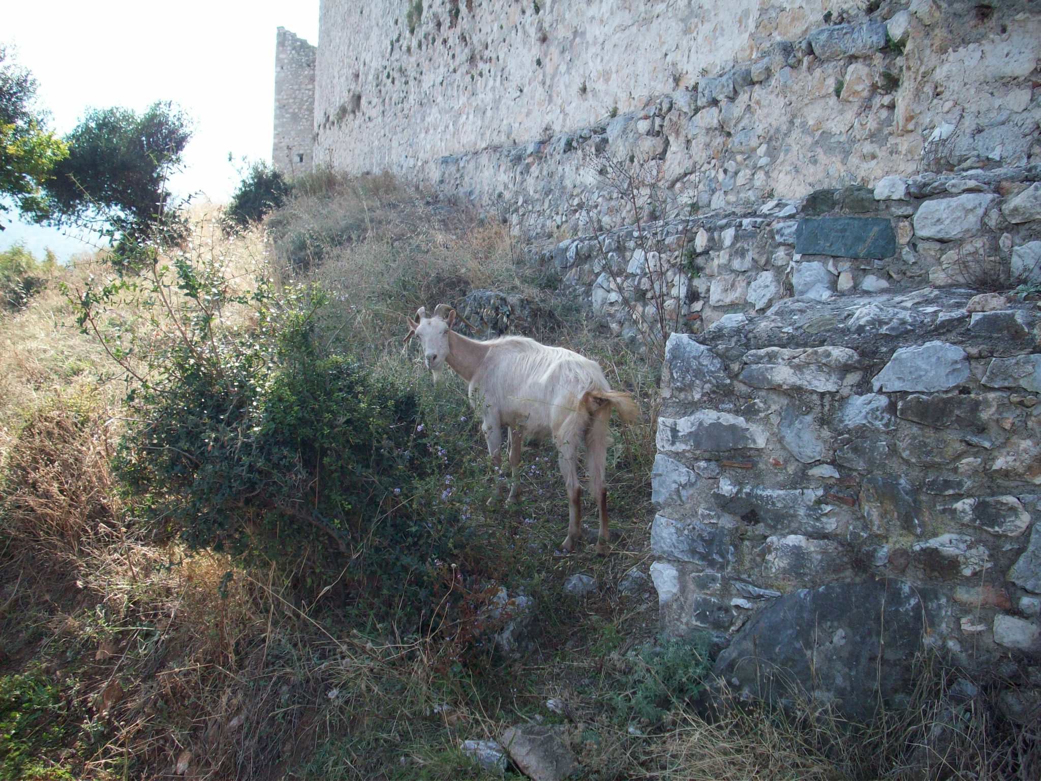 100_0400.JPG