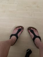 IMG_2951.jpeg