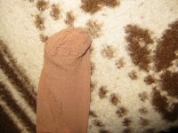 IMG_0623.JPG