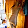 Pantyhose0ßß